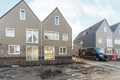 05-Moerasorchidee 29 - Lelystad.JPG